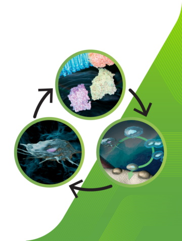 Understanding PEMF and LIPUS Bone Growth Therapies Thumbnail